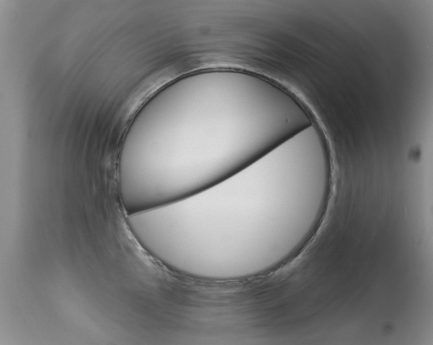 X0000113941145200909250933