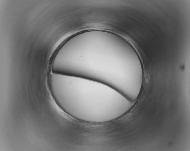 X0000113941147200909250933