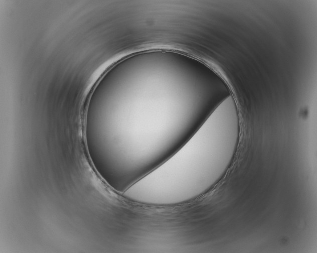X0000113941148200909250933