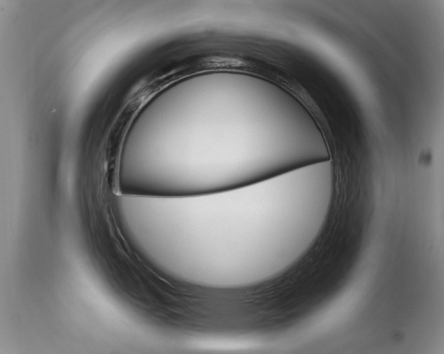 X0000113941151200909250933