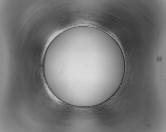X0000113941152200909250933