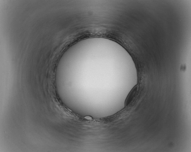X0000113941153200909250933