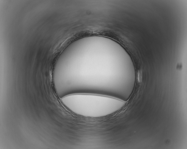 X0000113941155200909250933