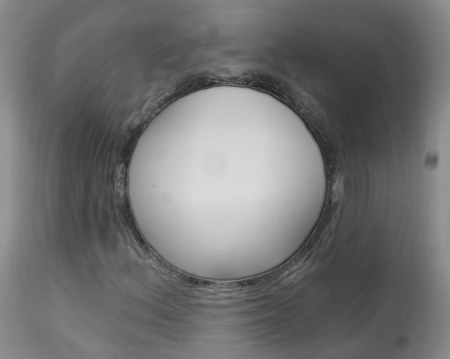 X0000113941156200909250933