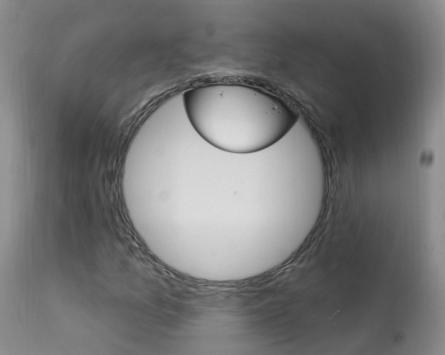X0000113941157200909250933