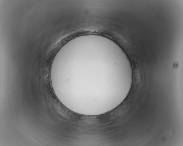 X0000113941158200909250933