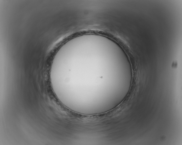 X0000113941159200909250933