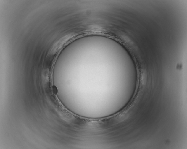X0000113941161200909250933