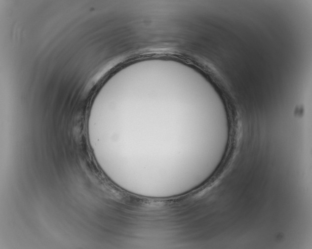 X0000113941162200909250933