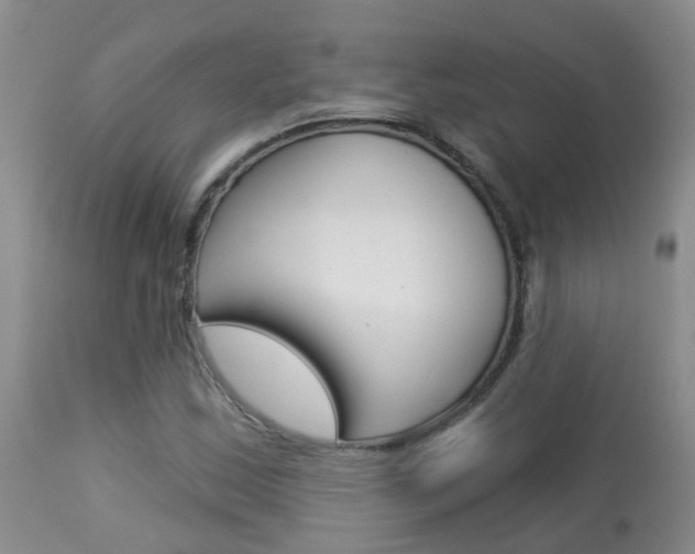 X0000113941163200909250932