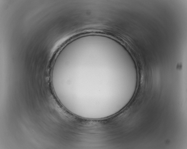 X0000113941164200909250932