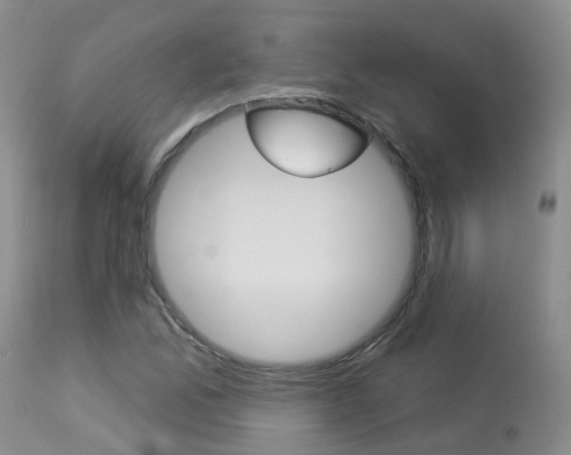 X0000113941165200909250932