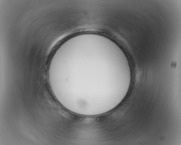 X0000113941166200909250932