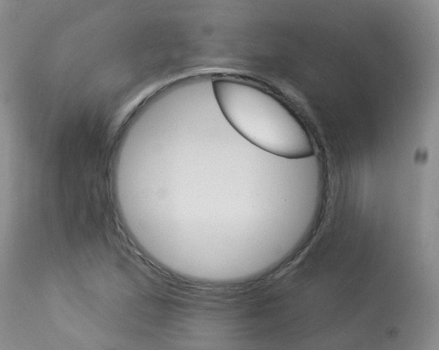 X0000113941167200909250932