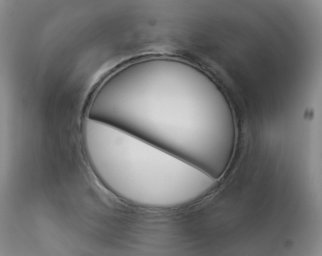 X0000113941168200909250932