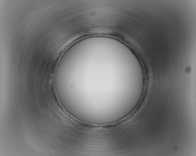 X0000113941169200909250932