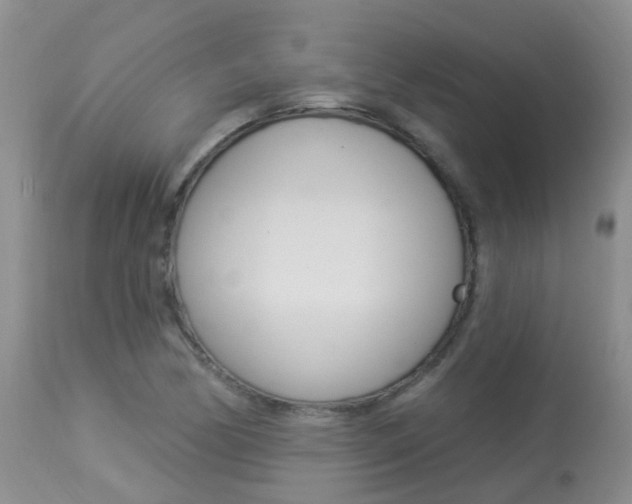 X0000113941170200909250932