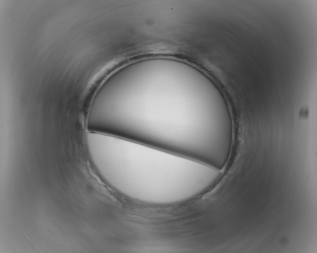 X0000113941171200909250932