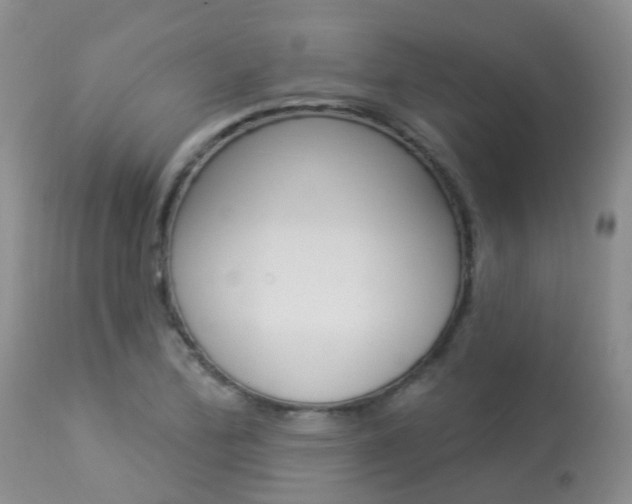 X0000113941172200909250932