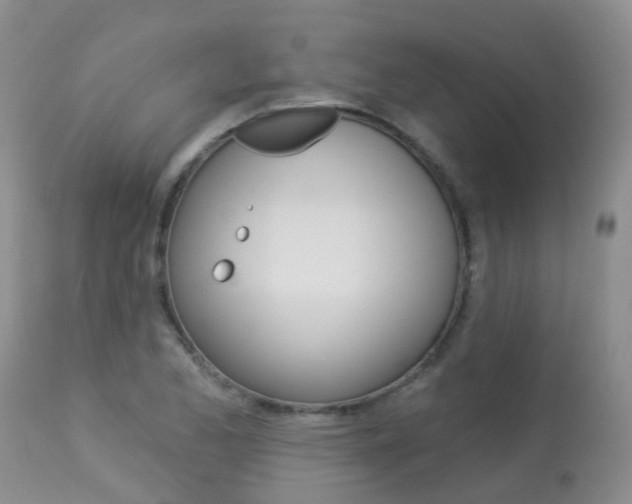 X0000113941173200909250932
