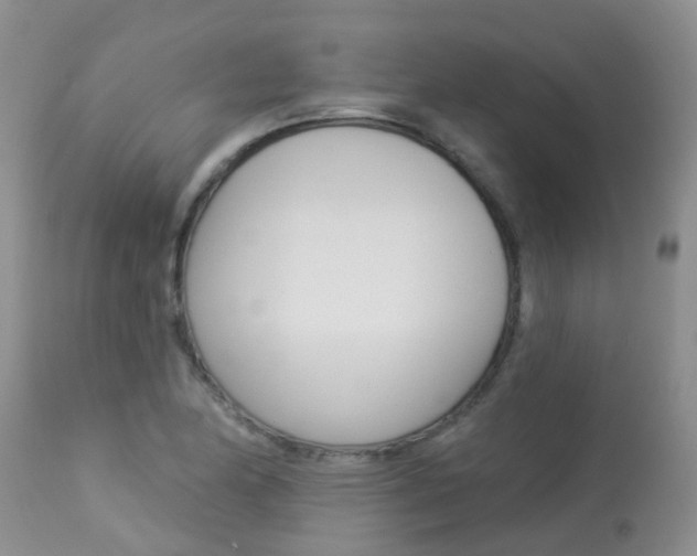 X0000113941174200909250932