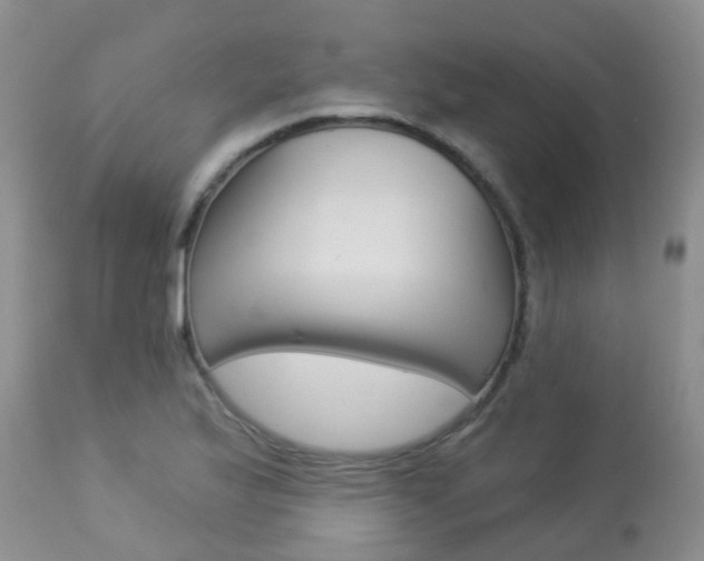 X0000113941175200909250932