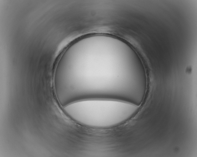 X0000113941176200909250932