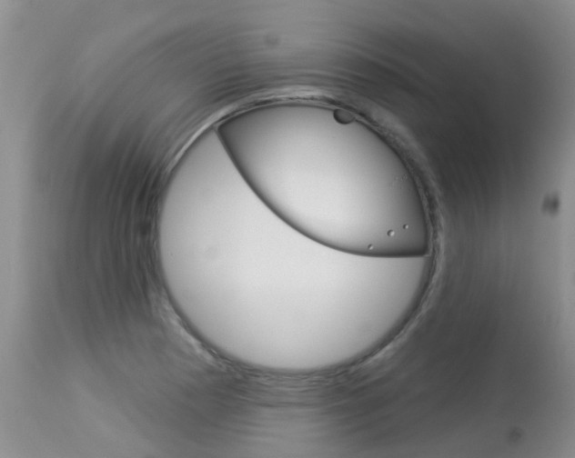 X0000113941177200909250932