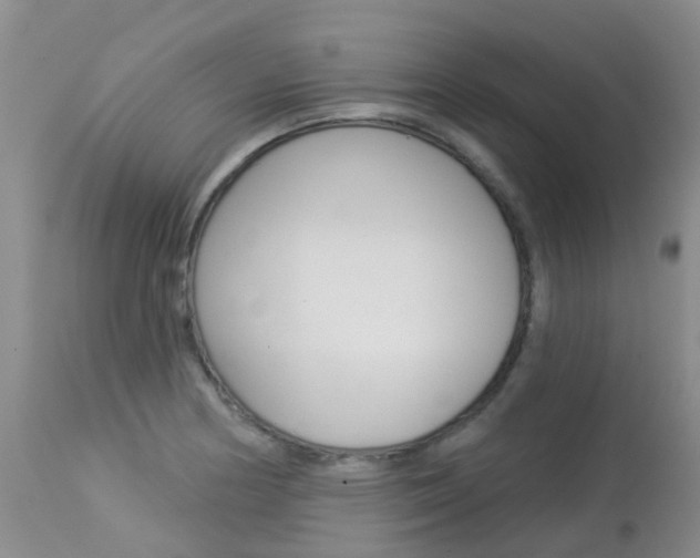 X0000113941178200909250932