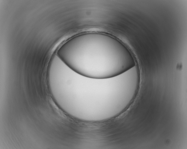 X0000113941181200909250932