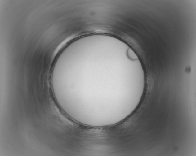X0000113941182200909250932