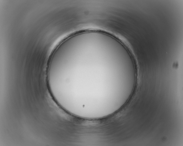 X0000113941183200909250932