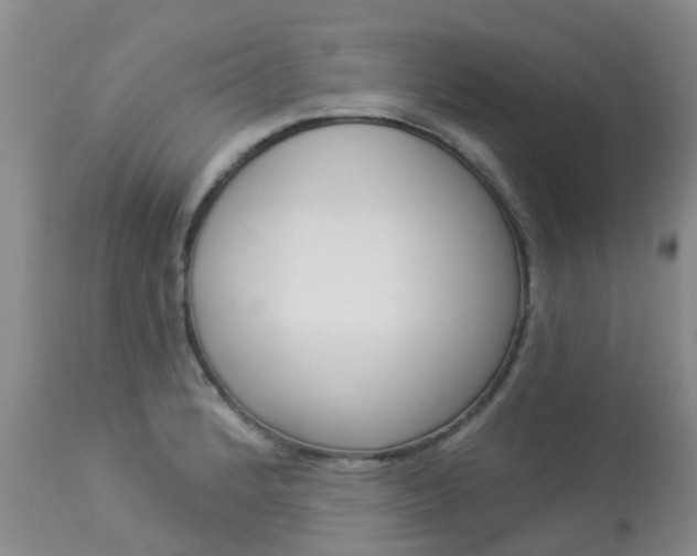 X0000113941184200909250932