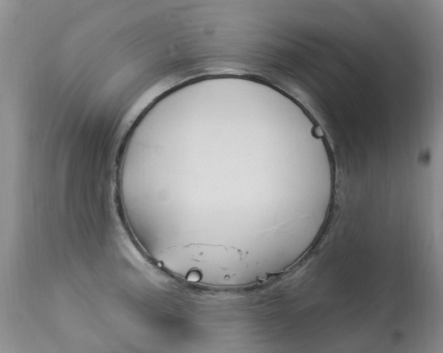 X0000113941187200909250932