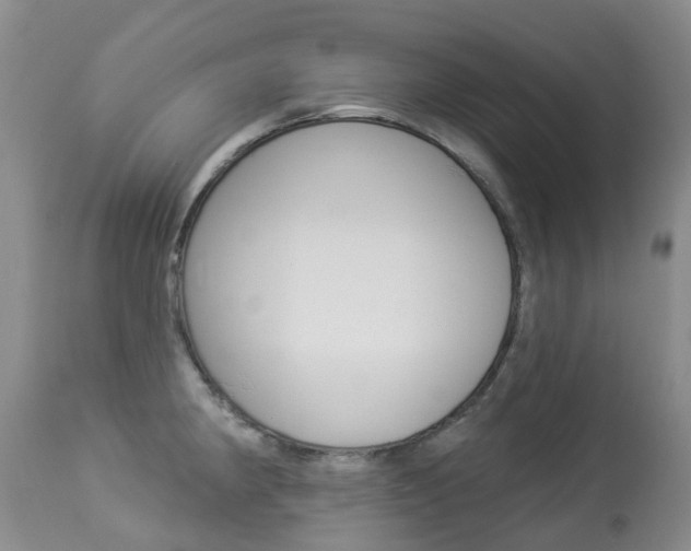 X0000113941190200909250932