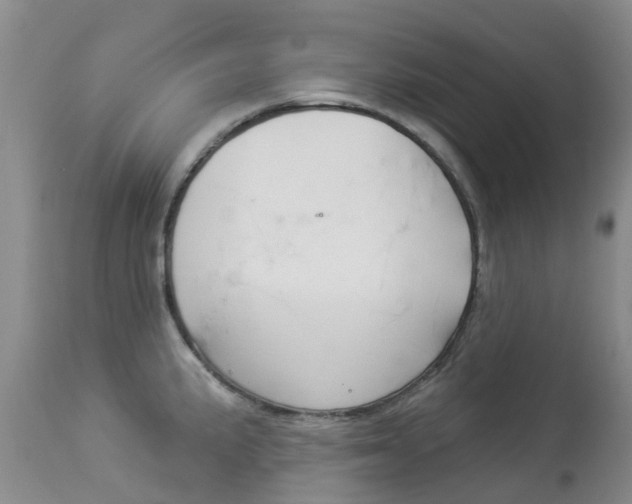 X0000113941191200909250932
