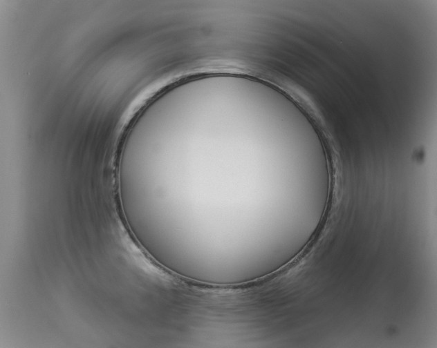 X0000113941192200909250932
