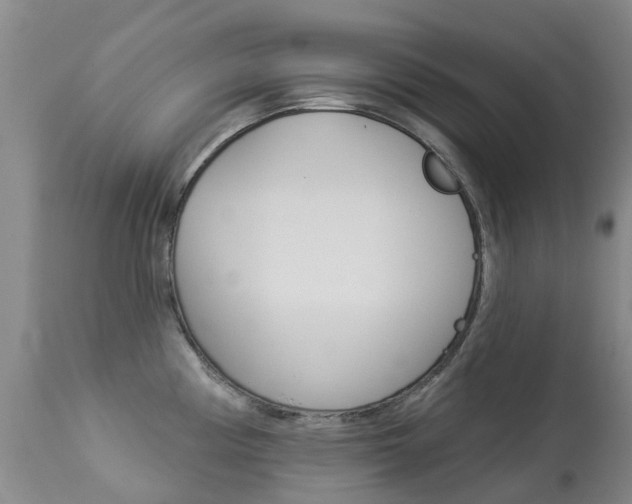 X0000113941194200909250932