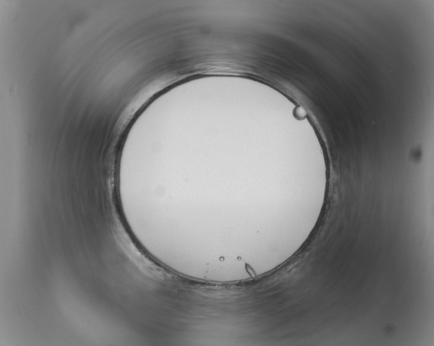 X0000113941195200909250932
