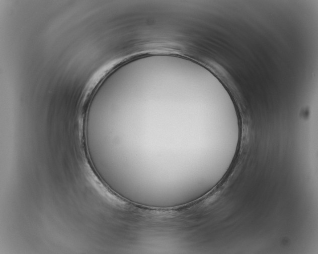 X0000113941196200909250932