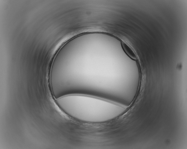 X0000113941197200909250932