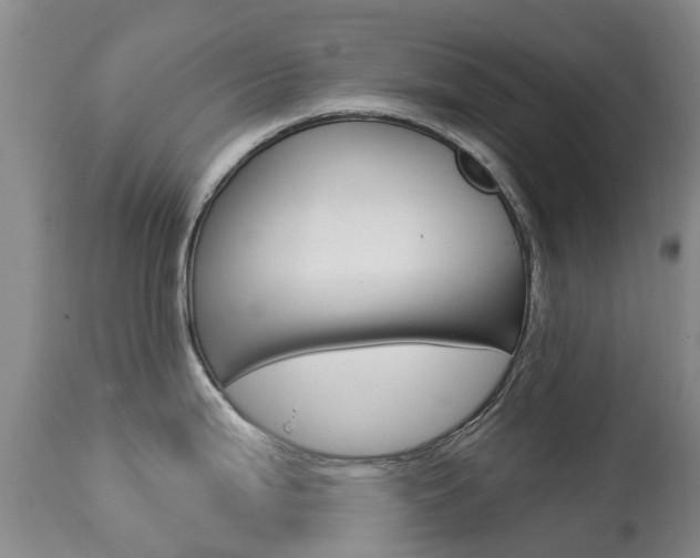 X0000113941199200909250932