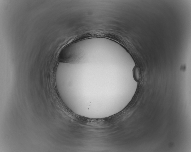 X0000113941201200909250931
