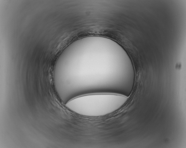 X0000113941202200909250931