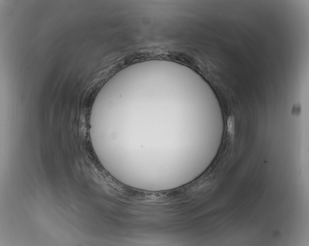 X0000113941203200909250931
