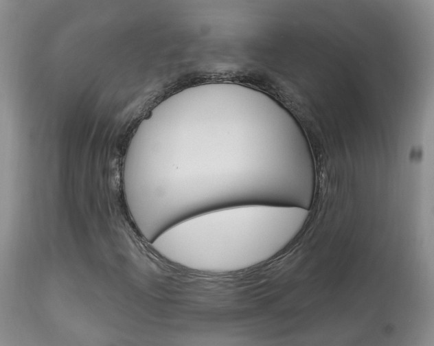 X0000113941204200909250931
