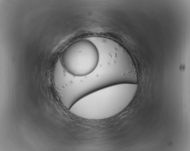 X0000113941205200909250931