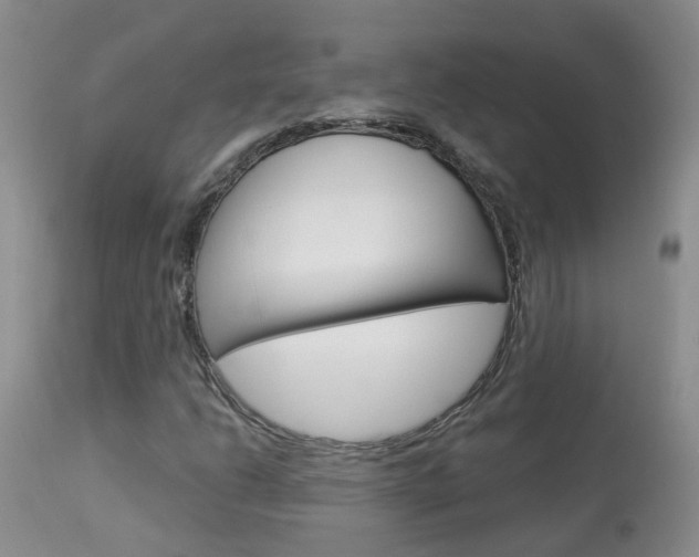 X0000113941206200909250931