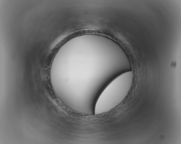X0000113941208200909250931