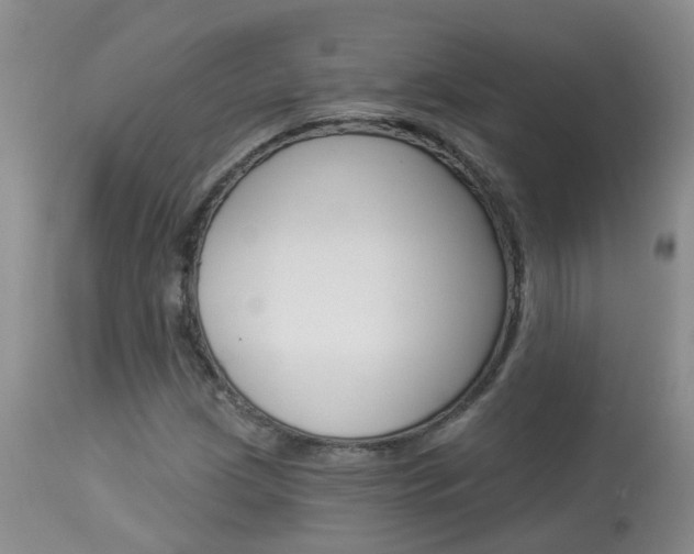 X0000113941209200909250931